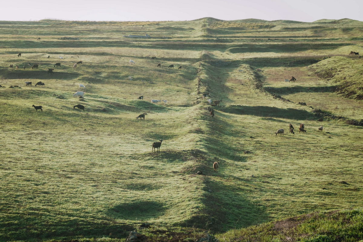 Sony探索台灣之美