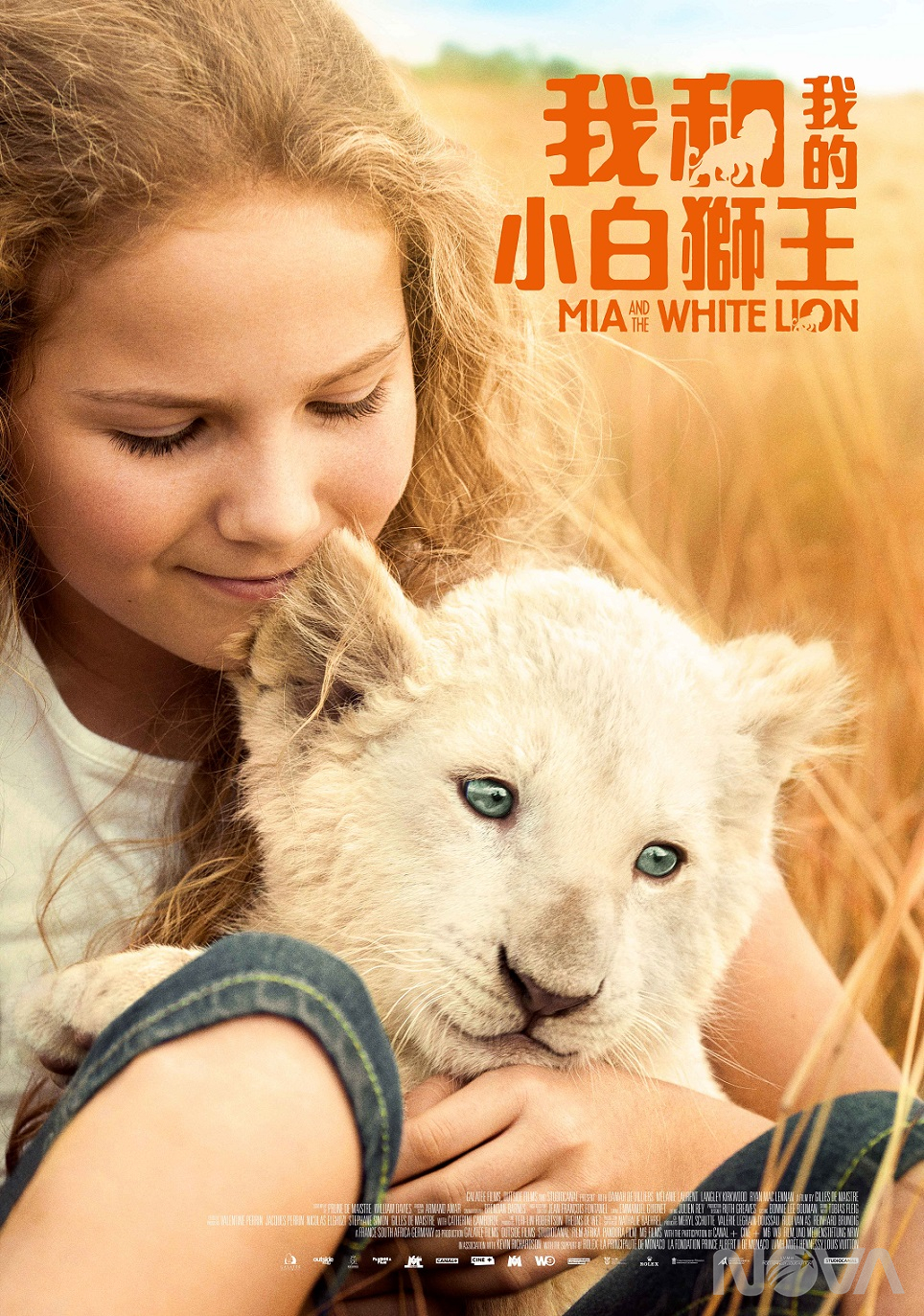 我和我的小白獅王