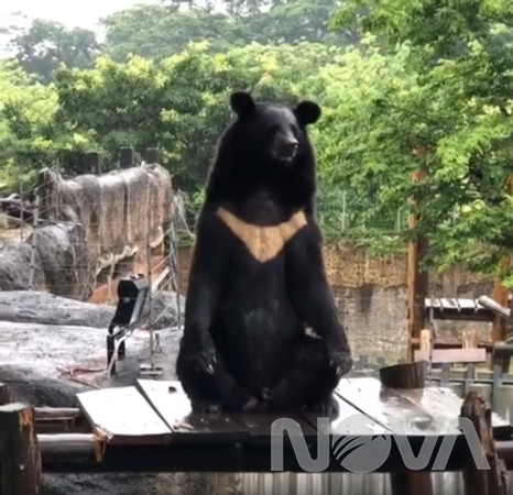 超"人"氣動物園