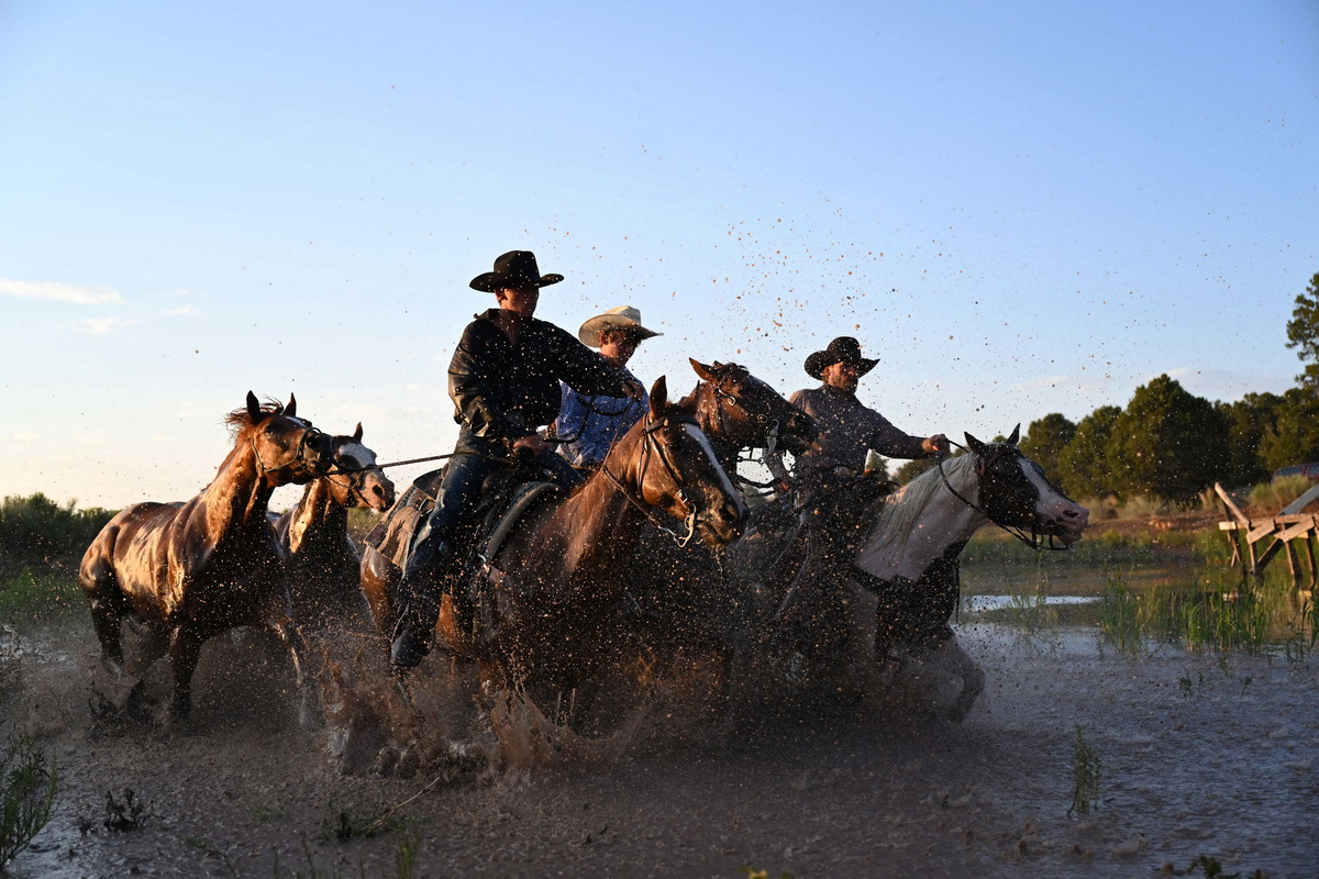 Nikon Z 7II 及 Z 6II 全片幅無反相機