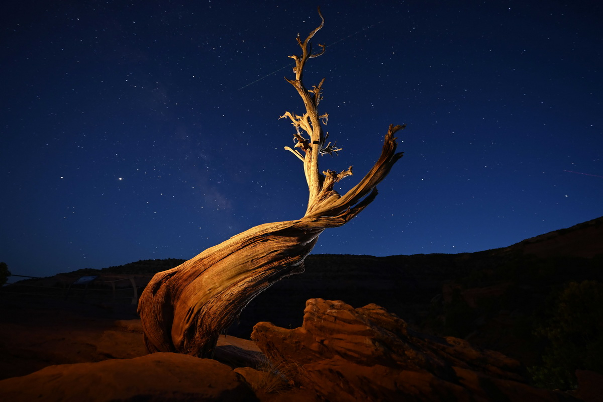 Nikon Z 7II 及 Z 6II 全片幅無反相機