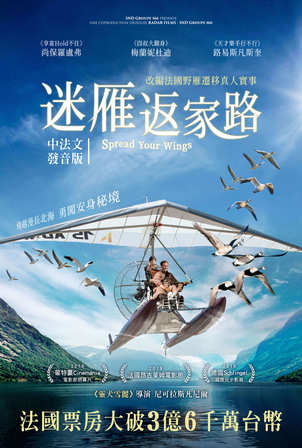 迷雁返家路