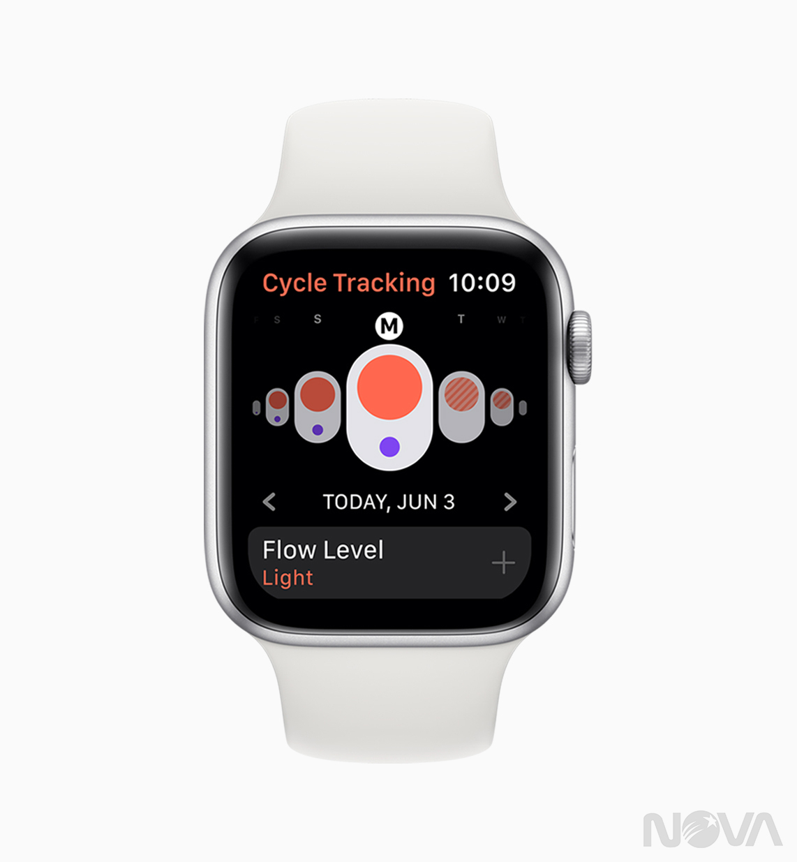 watchOS 6 為 Apple Watch 帶來健康與健身功能的提升