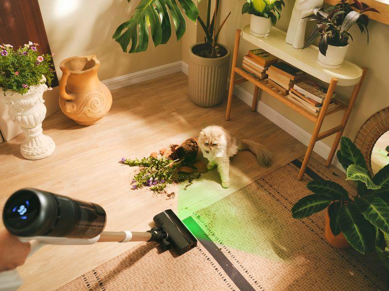 一張含有 室內, 室內盆栽植物, 花瓶, 瓶子 的圖片
AI 產生的內容可能不正確。