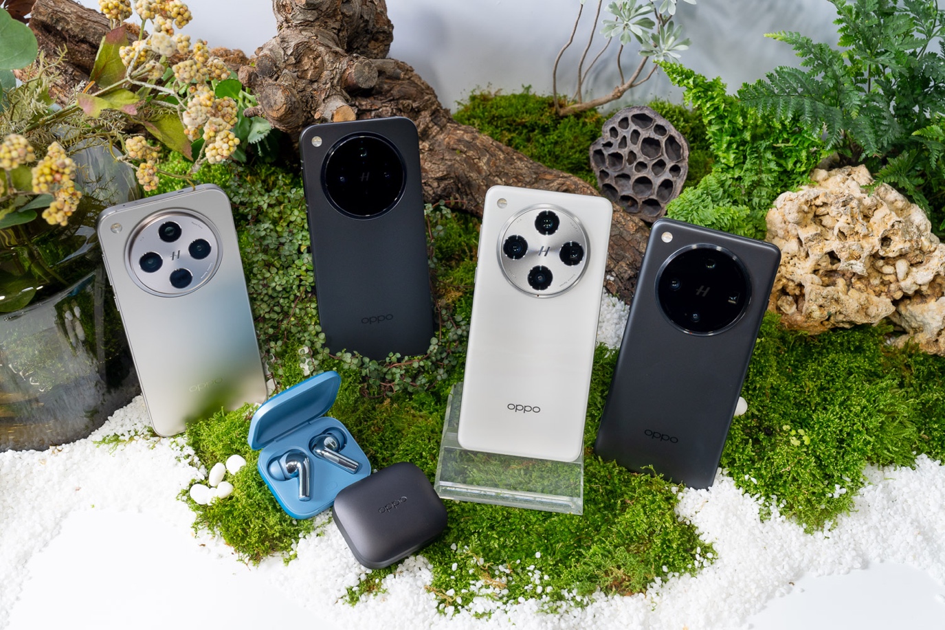 A group of cell phones on a mossy surface

Description automatically generated