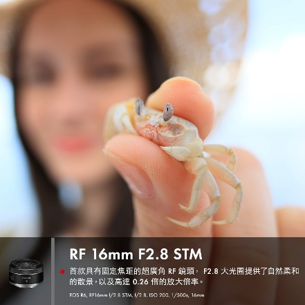 一張含有 文字, 節肢動物, 無脊椎動物 的圖片

自動產生的描述