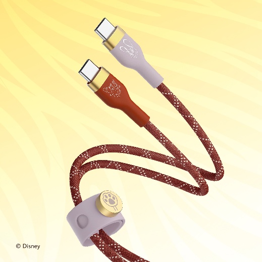 一張含有 連接器, 纜線 的圖片

AI 產生的內容可能不正確。