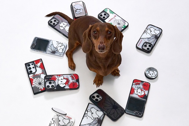 一張含有 文字, 狗 的圖片

自動產生的描述